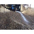 广东鹅卵石厂家 天然杂色鹅卵石大量现货