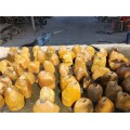 广州黄蜡石花盆 黄蜡石景观摆件石厂家批发直销