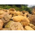 广东小型黄蜡石原产地现货供应 假山堆叠草坪点缀石批发