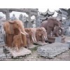 石雕象汉白玉石象，石雕大象，盛世有象石雕象，龙凤大鹏石雕动物