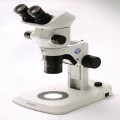 奥林巴斯SZX7显微镜