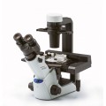 OLYMPUS显微镜CKX53