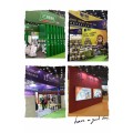 2023郑州国际艺术涂料、内墙涂料展览会 权威发布
