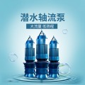 天津潜水轴流泵生产厂家