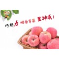 颗粒水溶肥巧棵力苹果专用，果大果甜，增产增收