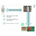 聚氨酯胶水专用增塑剂 易相容不冒油 生物酯增塑剂 环保增塑剂