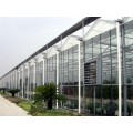 潍坊玻璃温室建造价格