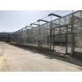 潍坊玻璃温室建设价格