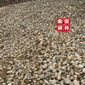 河卵石 河卵石切片铺路卵石 水处理卵石 鹅卵石切片