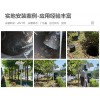污水处理厂在线监测设备厂家-深圳凯纳福-KNF-400C