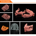 高精度光固化牙科牙模铸造3D打印机