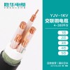 胜华电线电缆 低压YJV-1KV纯铜芯交联圆形电缆 1/2/3/4/5芯