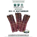 菏泽芦笋种植技术