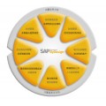 SAP BYD系统 SAP实施公司 哲讯智能科技
