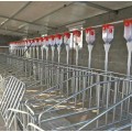 养殖场自动喂料设备自动上料线塞盘料线绞龙料线