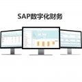 无锡sap b1系统 sap业务财务一体化方案 选择哲讯科技