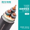 新乡胜华YJV22-21/35KV/铠装交联国标高压电力电缆