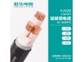胜华电缆YJV22 0.6-1KV铠装铜电缆 国标电缆批发